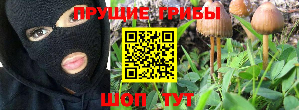 Галлюциногенные грибы Cubensis Серпухов